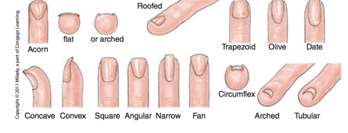 Screen-Shot-2014-04-09-at-11.05.08-AM