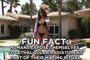 enhanced-buzz-8163-1377270538-13