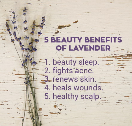 5-beauty-benefits-of-lavender-via-poorandpretty